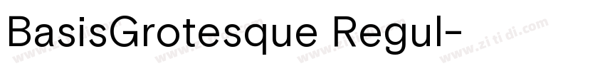 BasisGrotesque Regul字体转换 BasisGrotesque Regul字体转换